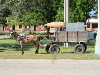A closer look.  Most of these vehicles moved at a trot.